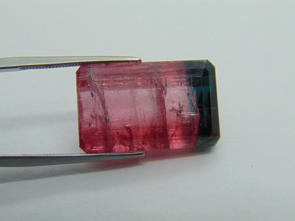 22.75ct Tourmaline Bicolor 21x13mm