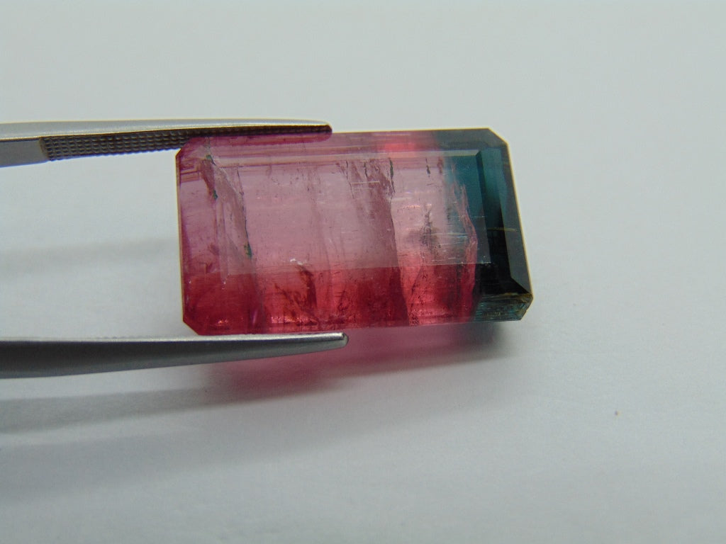 22.75ct Tourmaline Bicolor 21x13mm