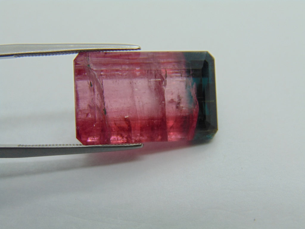 22.75ct Tourmaline Bicolor 21x13mm