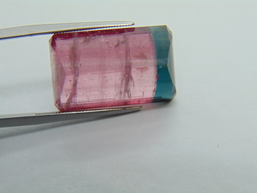 22.75ct Tourmaline Bicolor 21x13mm