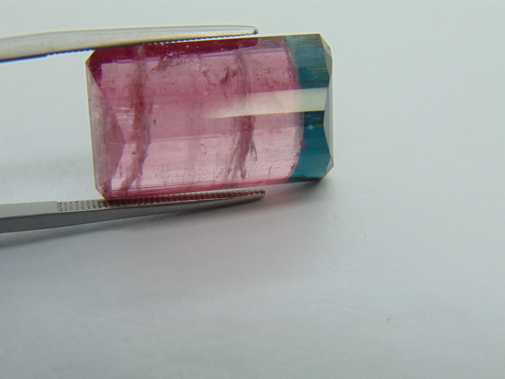 22.75ct Tourmaline Bicolor 21x13mm