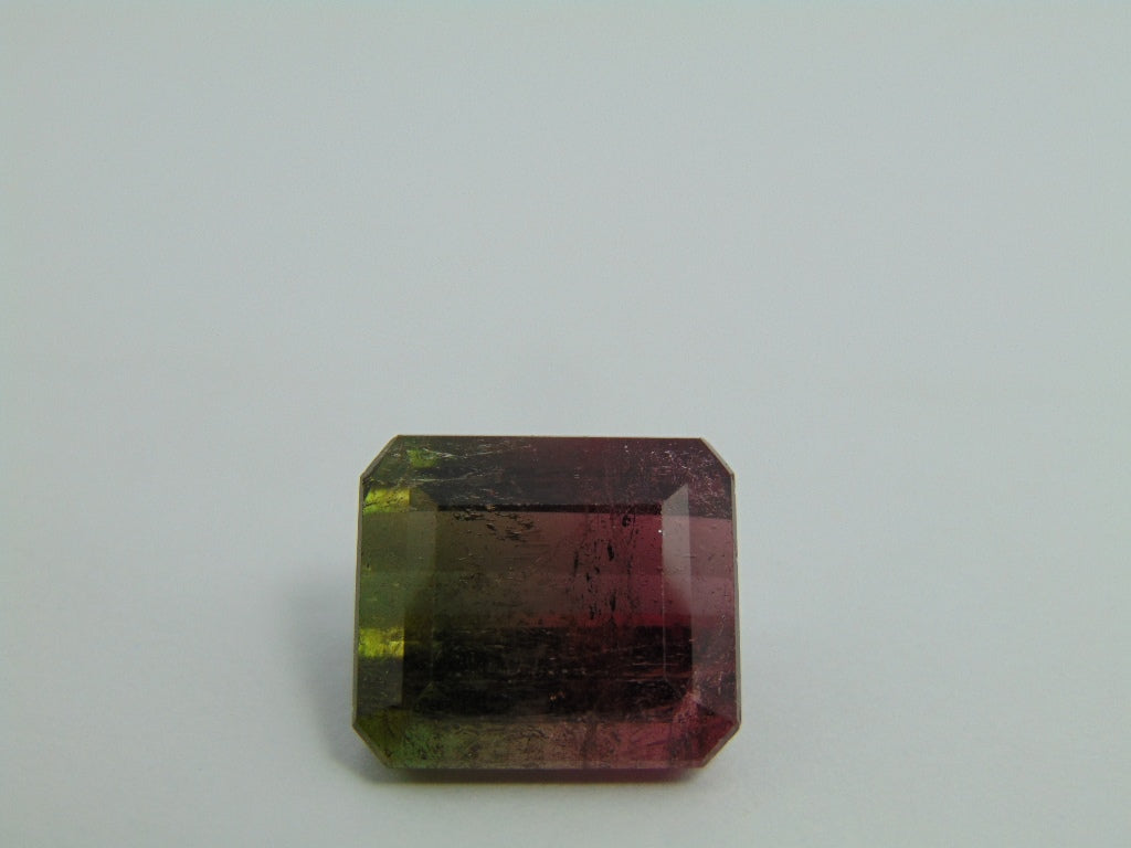 23.90ct Tourmaline Bicolor 17x15mm