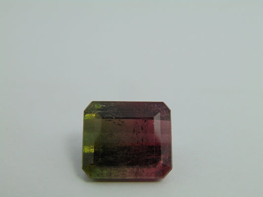 23.90cts Tourmaline (Bicolor)