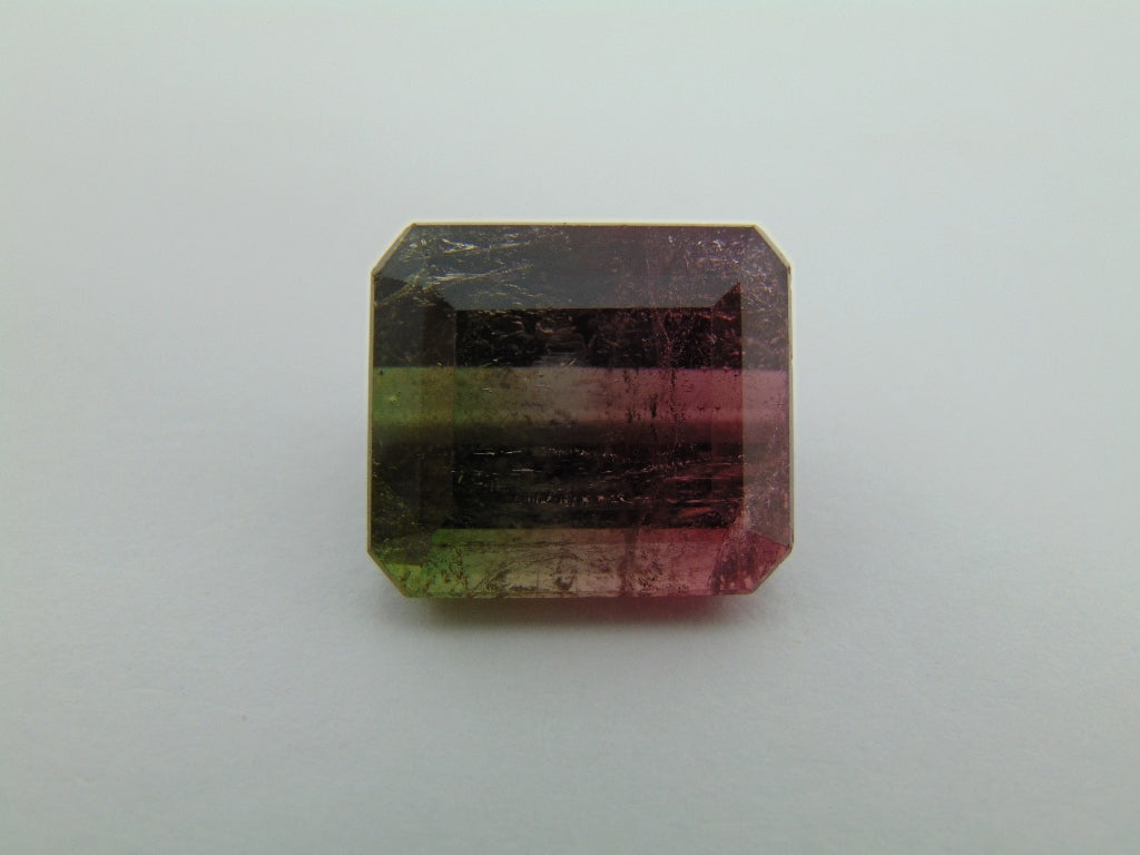 23.90ct Tourmaline Bicolor 17x15mm