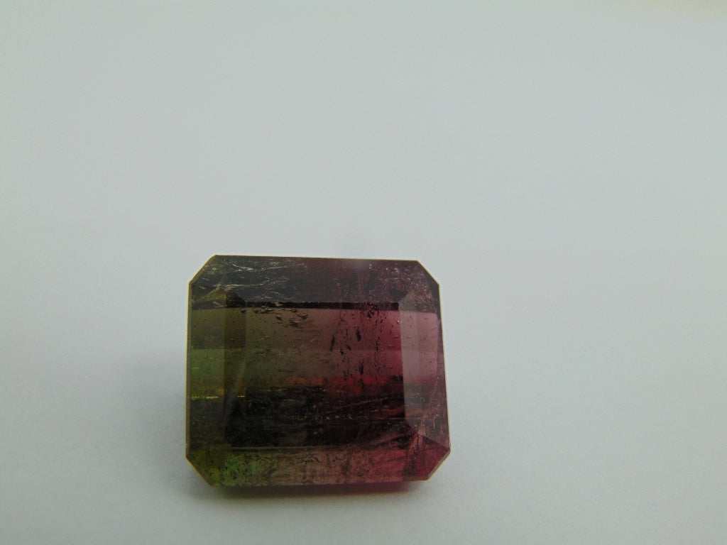 23.90ct Tourmaline Bicolor 17x15mm