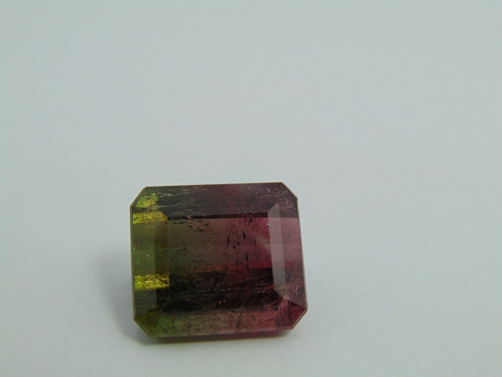 23.90ct Tourmaline Bicolor 17x15mm