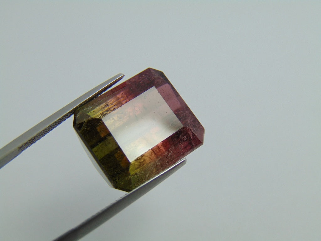 23.90ct Tourmaline Bicolor 17x15mm