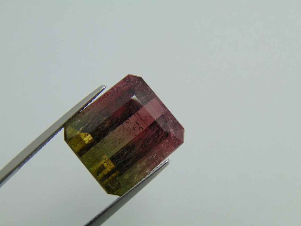 23.90ct Tourmaline Bicolor 17x15mm