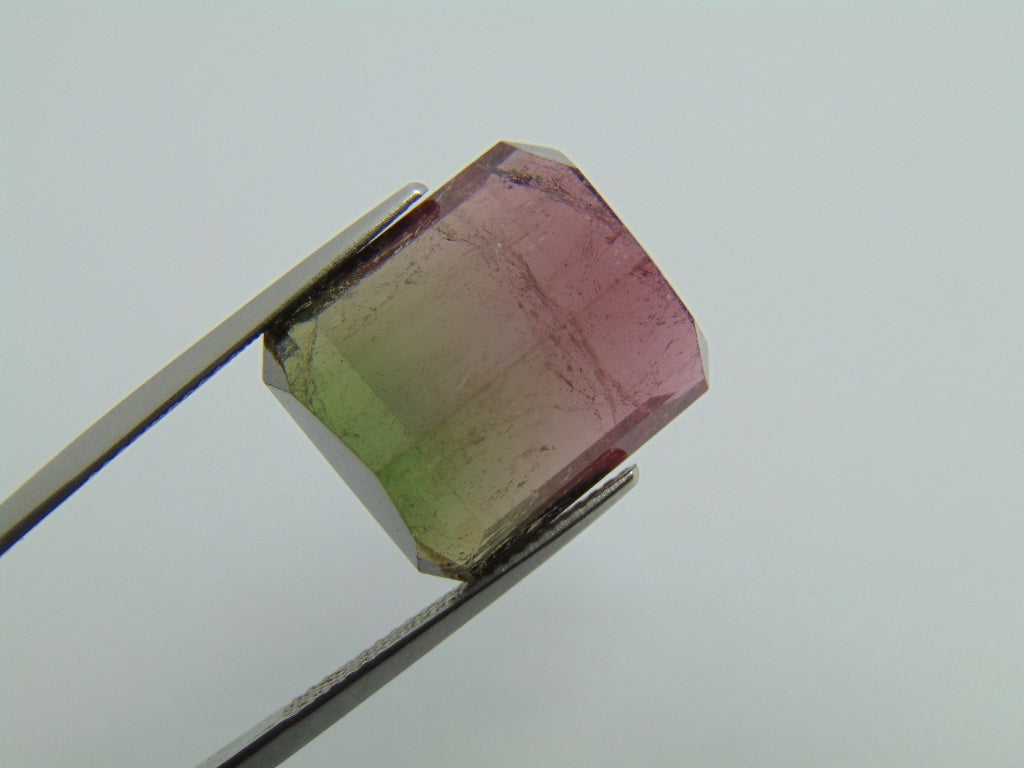 23.90ct Tourmaline Bicolor 17x15mm