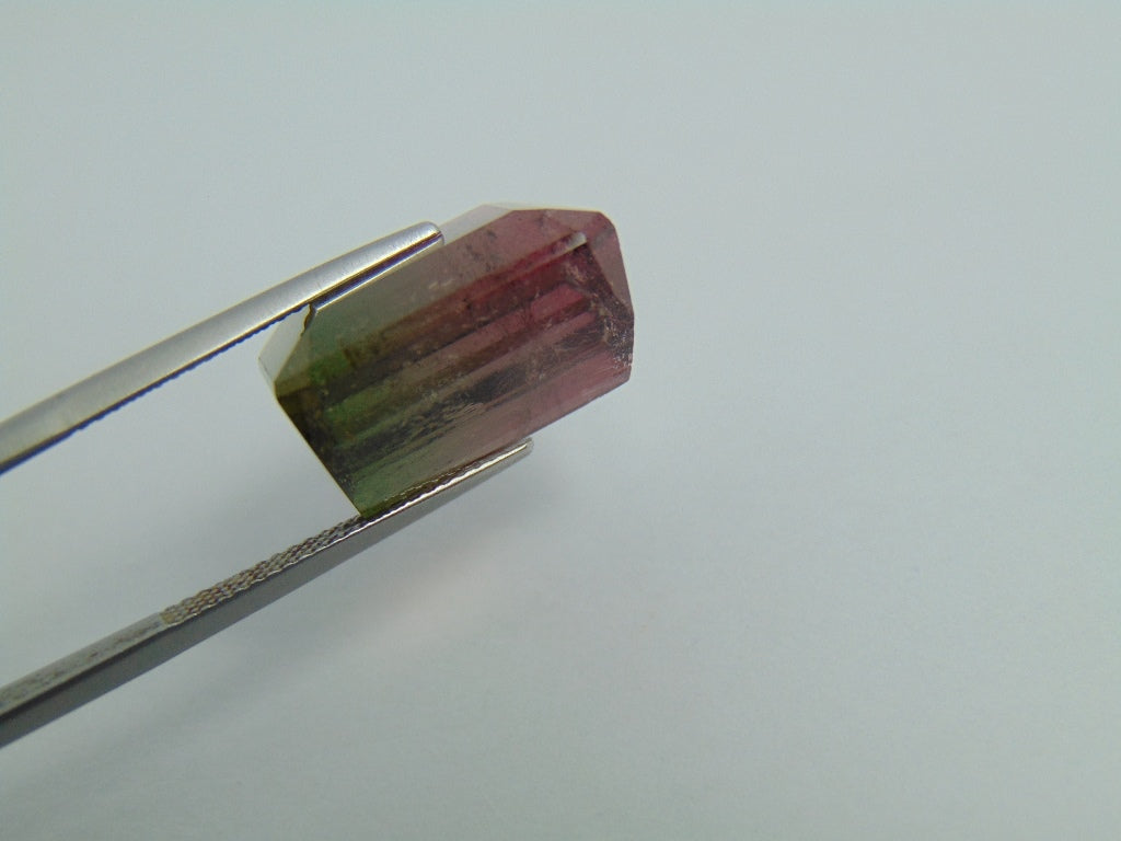 23.90ct Tourmaline Bicolor 17x15mm