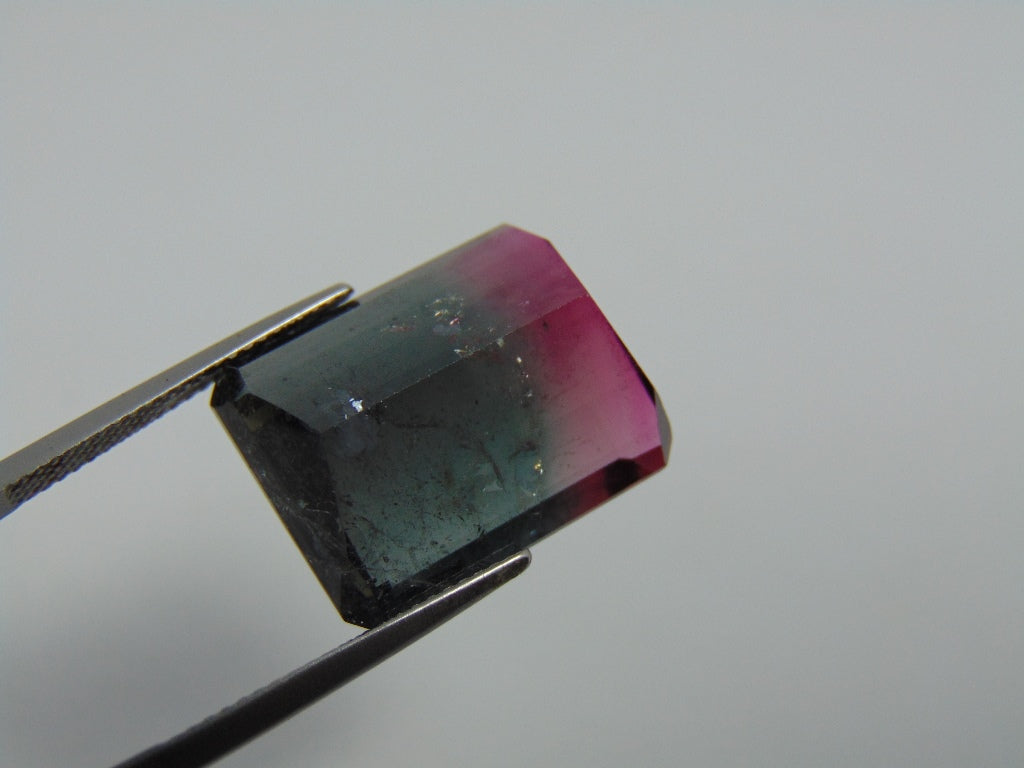 21ct Tourmaline Bicolor 19x15mm