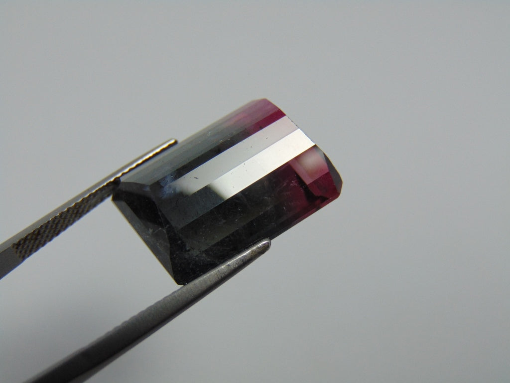 21ct Tourmaline Bicolor 19x15mm