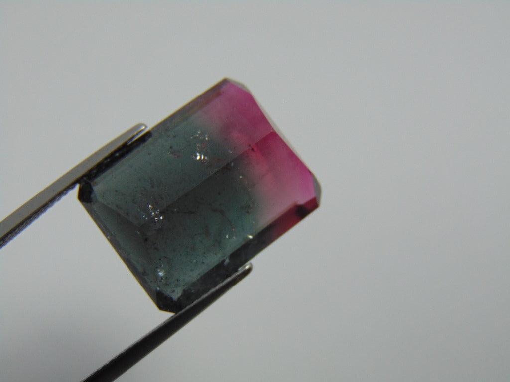 21ct Tourmaline Bicolor 19x15mm