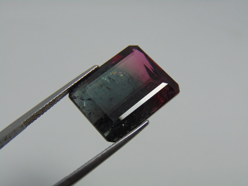 21ct Tourmaline Bicolor 19x15mm