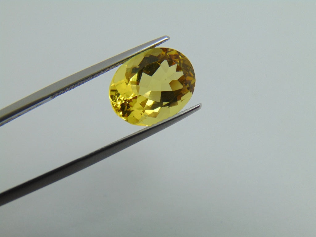 5.60cts Beryl