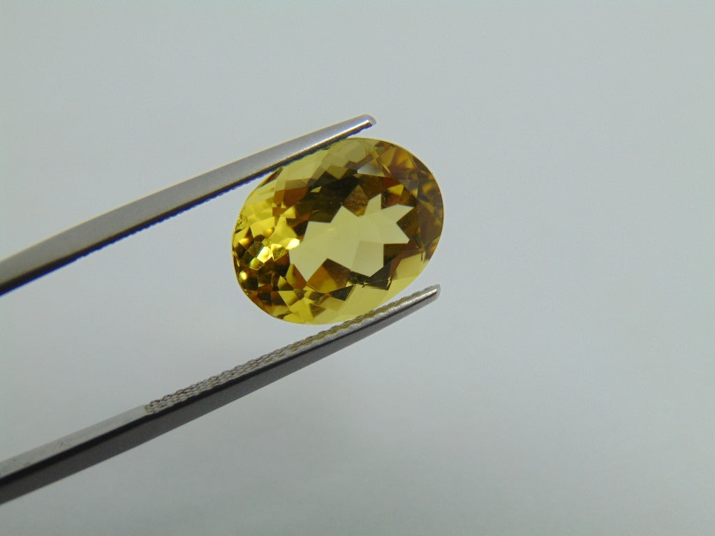 5.60cts Beryl