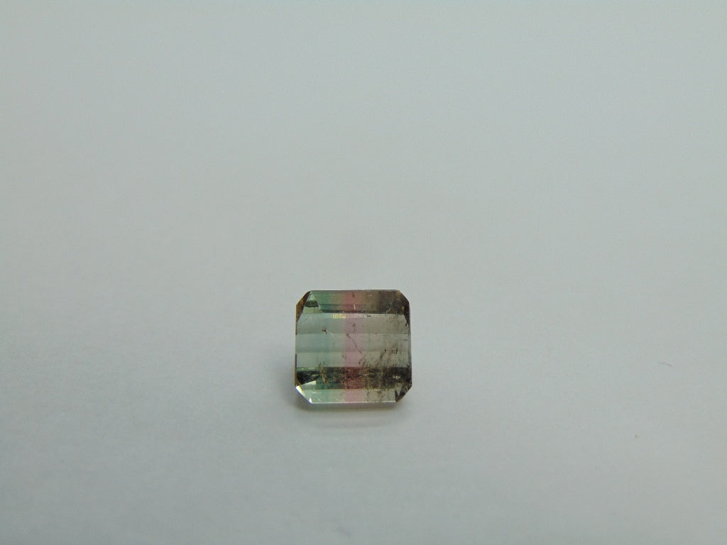 3.70cts Tourmaline (Bicolor)