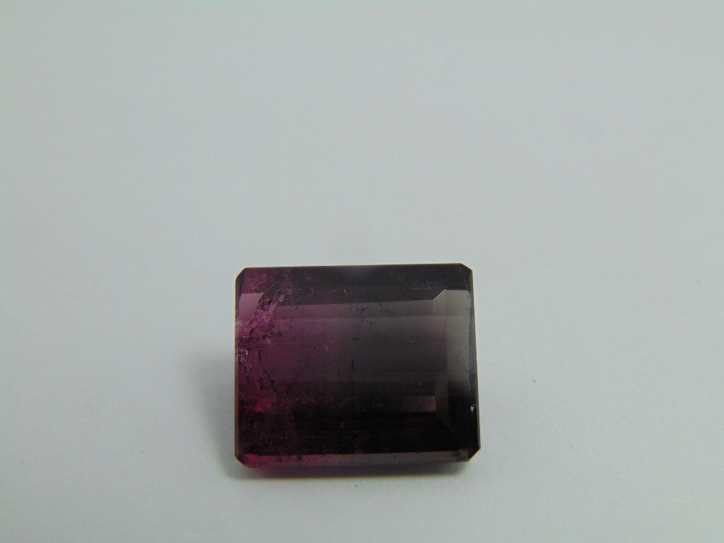 17.65ct Tourmaline Bicolor 17x14mm