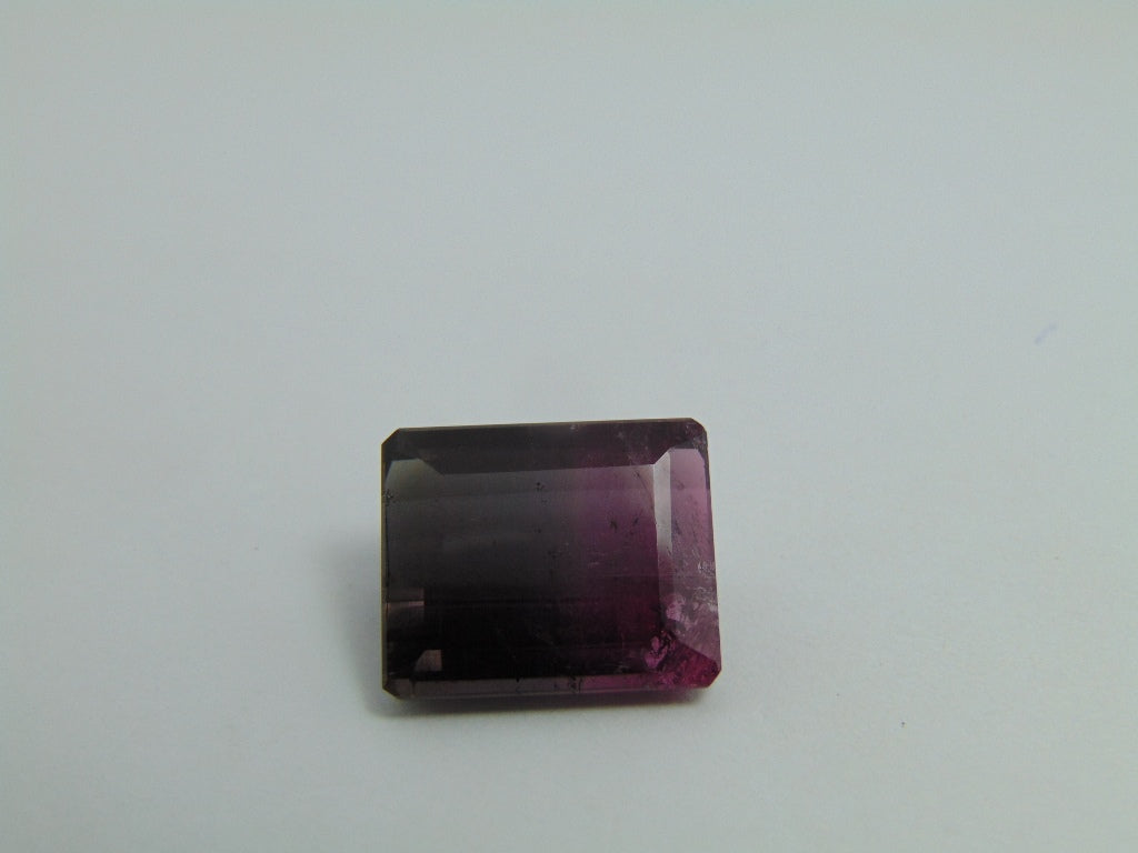 17.65ct Tourmaline Bicolor 17x14mm