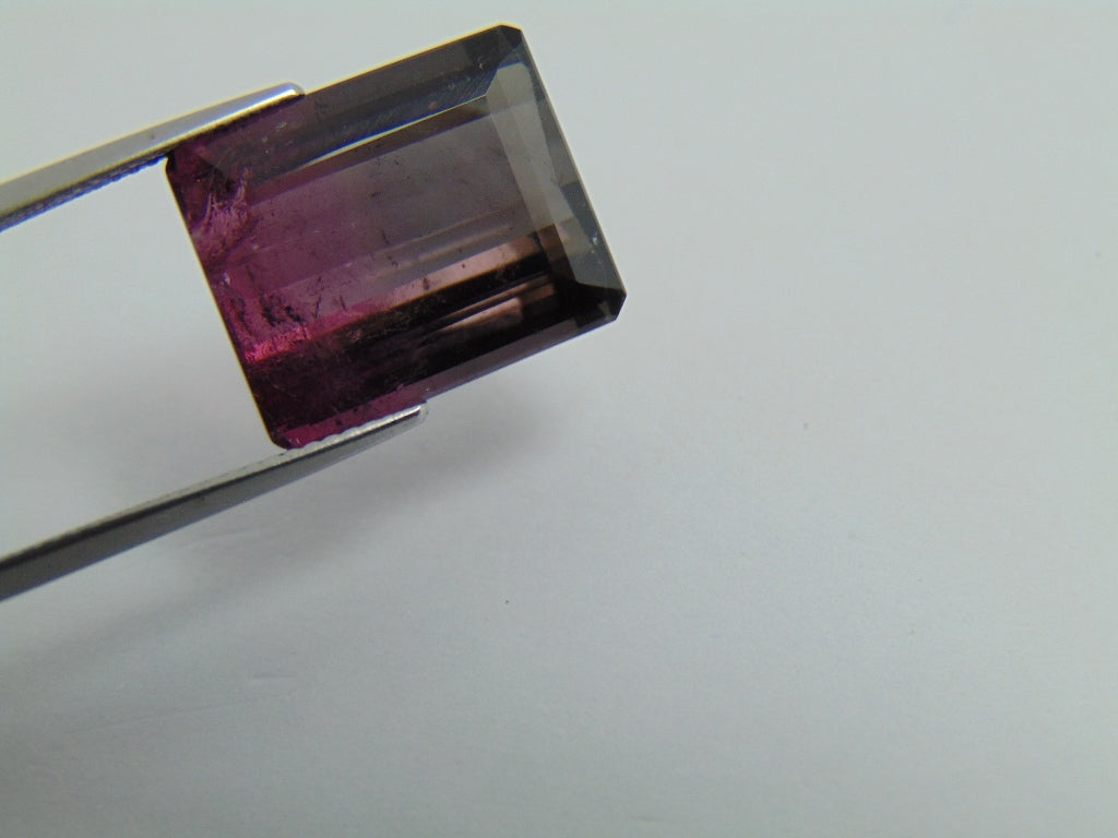 17.65ct Tourmaline Bicolor 17x14mm