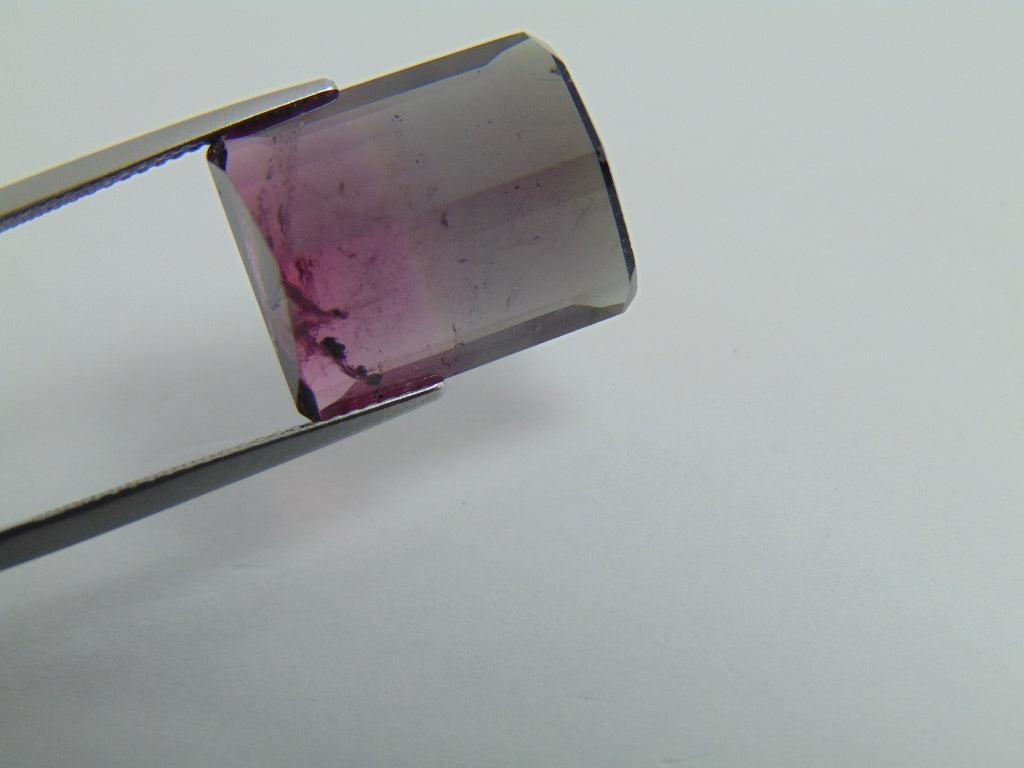 17.65ct Tourmaline Bicolor 17x14mm