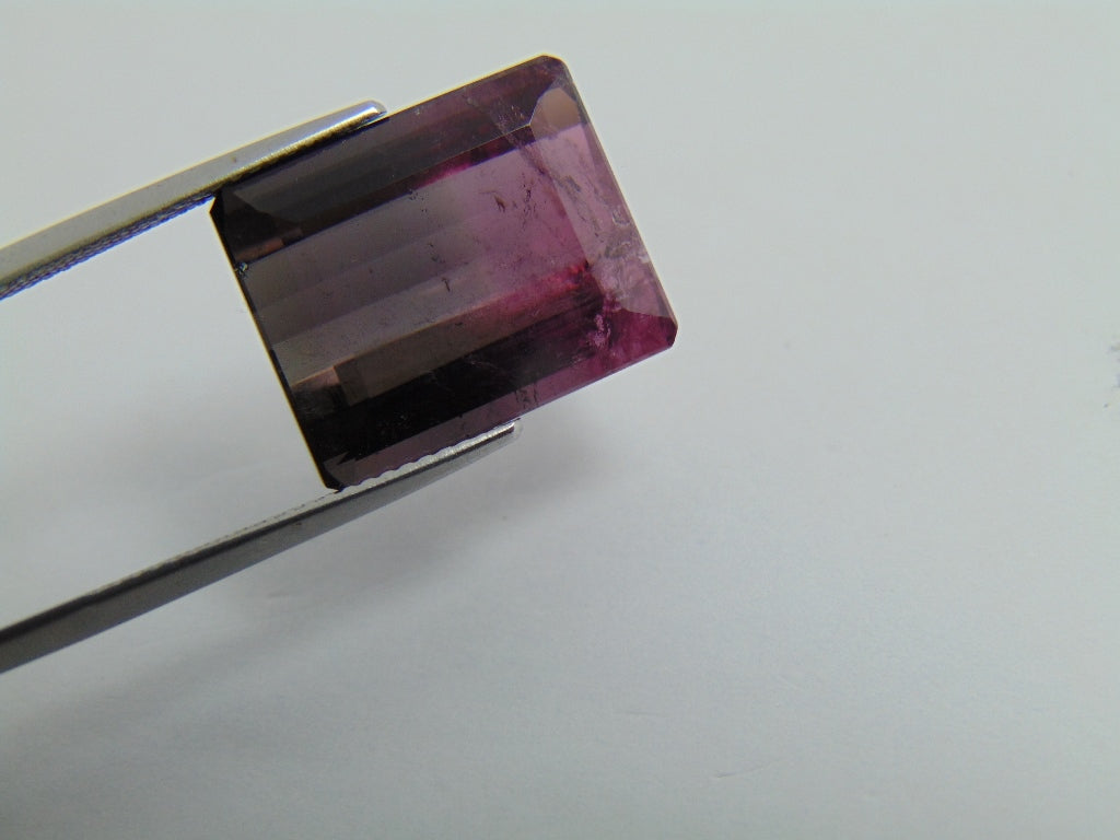 17.65ct Tourmaline Bicolor 17x14mm