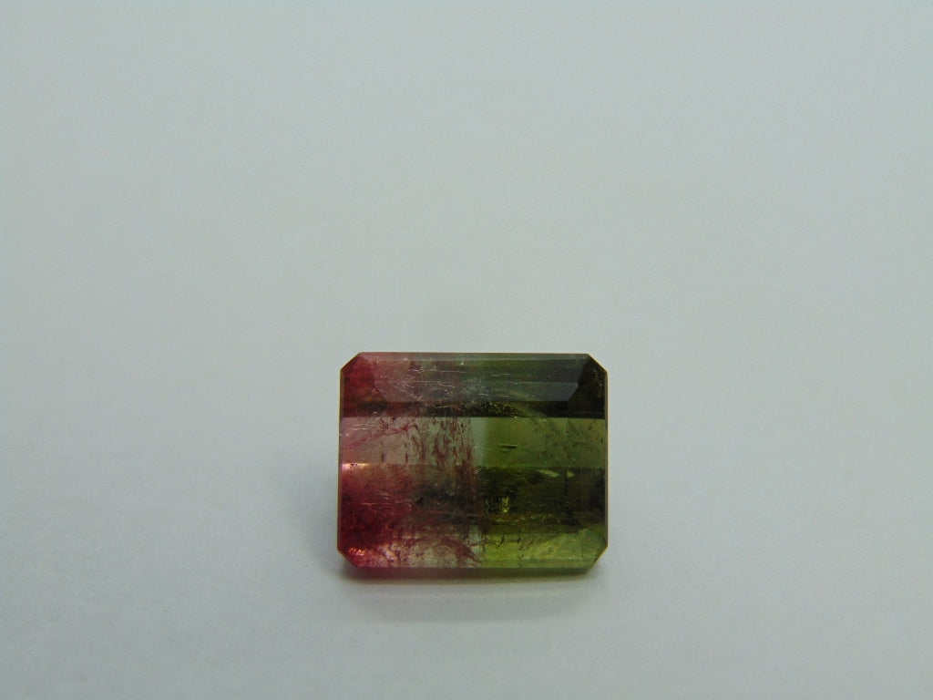 6.90cts Tourmaline (Bicolor)