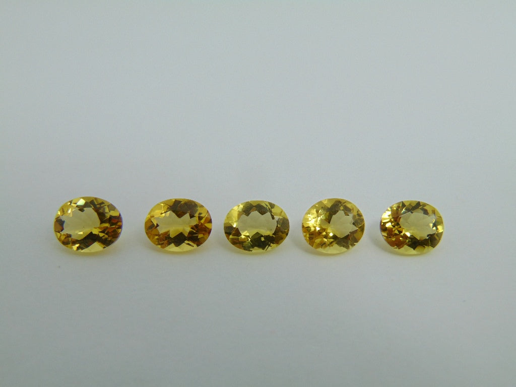 7.50cts Beryl (Calibrated)