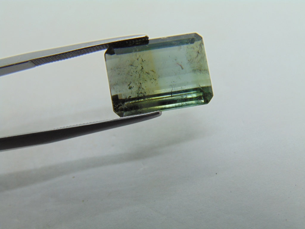 10.65ct Tourmaline Bicolor 15x11mm