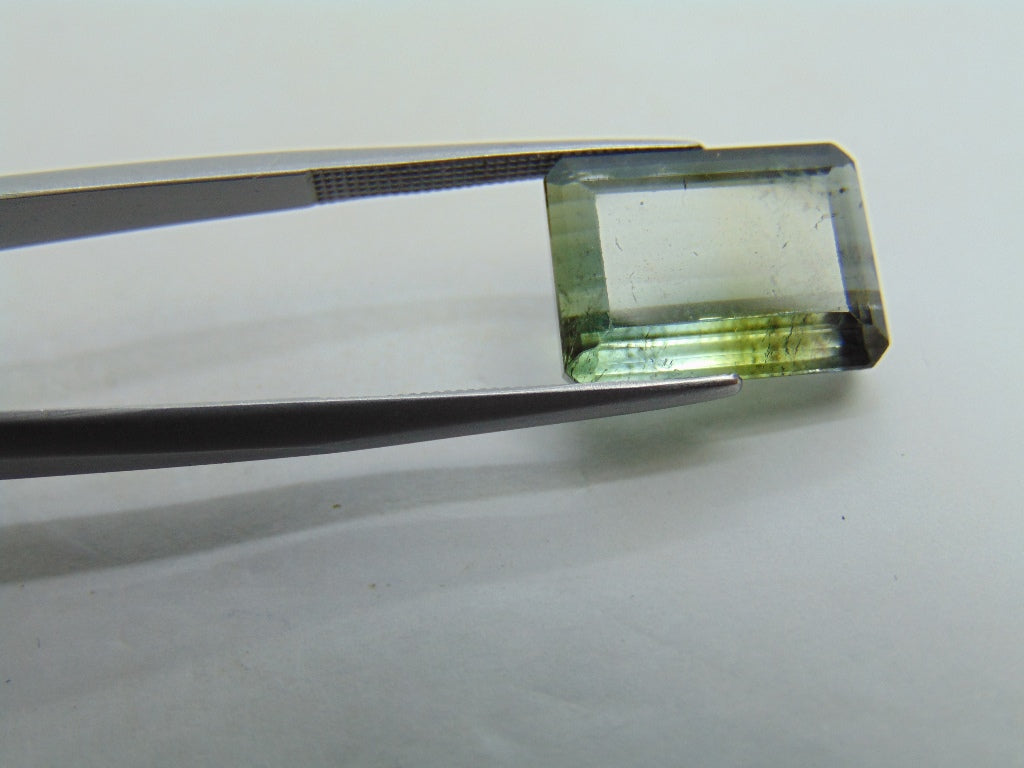 10.65ct Tourmaline Bicolor 15x11mm