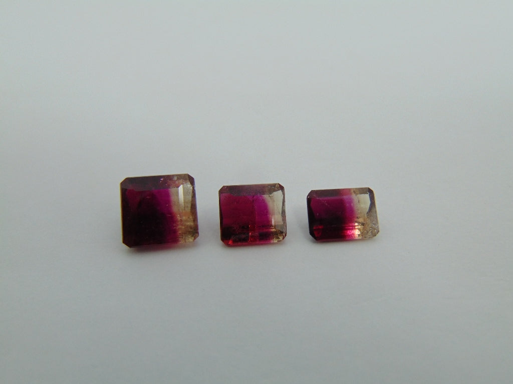 7.50cts Tourmaline (Bicolor)