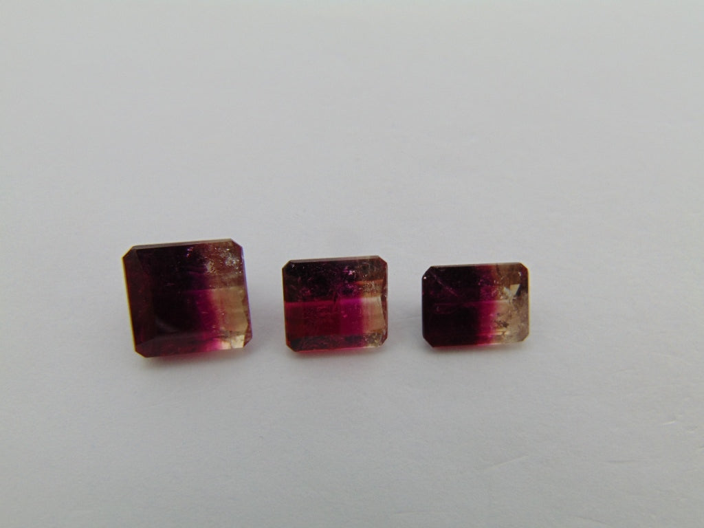 7.50cts Tourmaline (Bicolor)