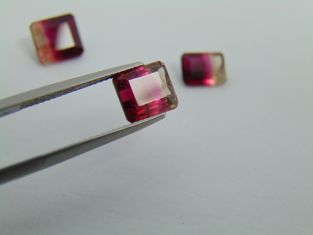 7.50cts Tourmaline (Bicolor)