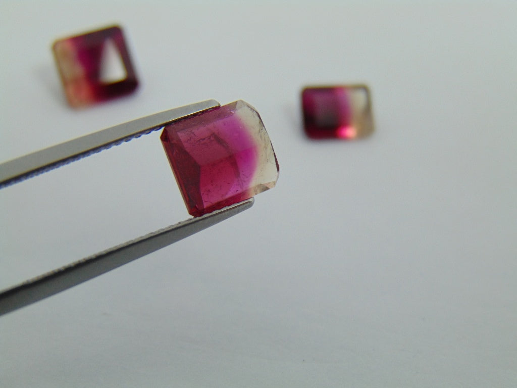 7.50cts Tourmaline (Bicolor)