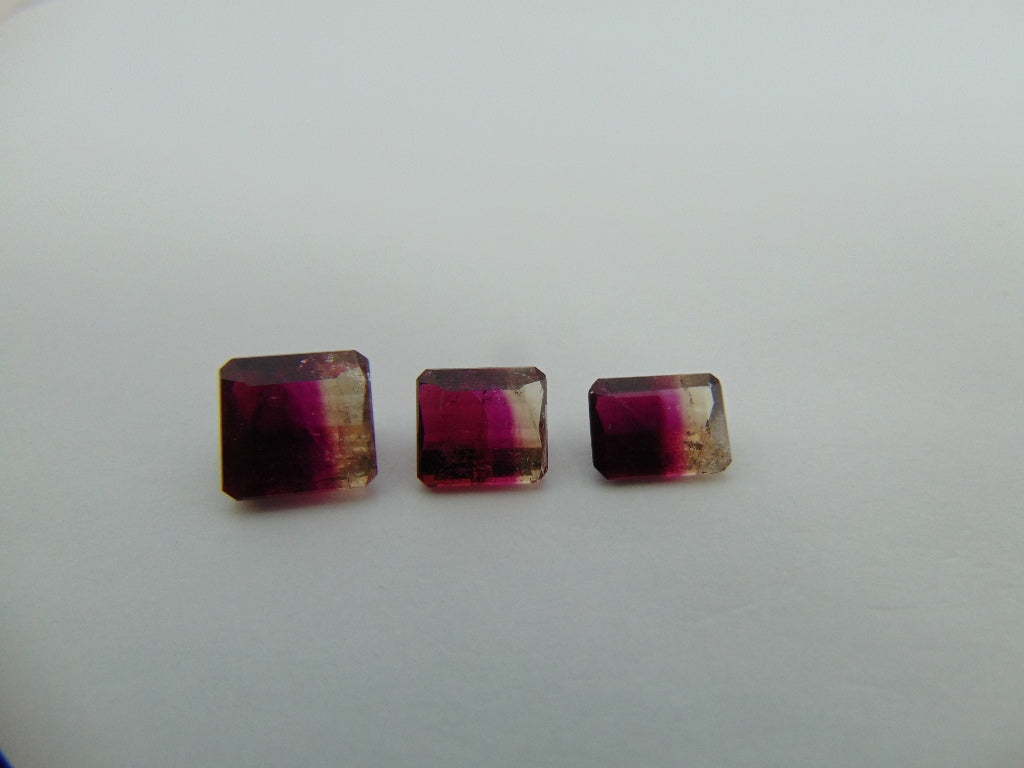 7.50cts Tourmaline (Bicolor)