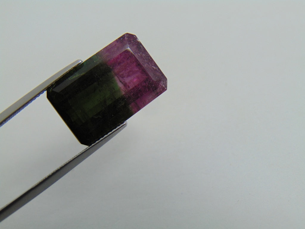 16.70cts Tourmaline (Bicolor)