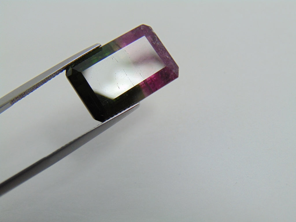 16.70cts Tourmaline (Bicolor)