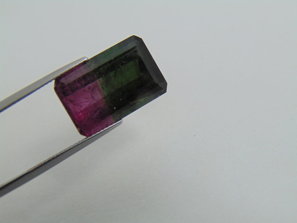 16.70cts Tourmaline (Bicolor)