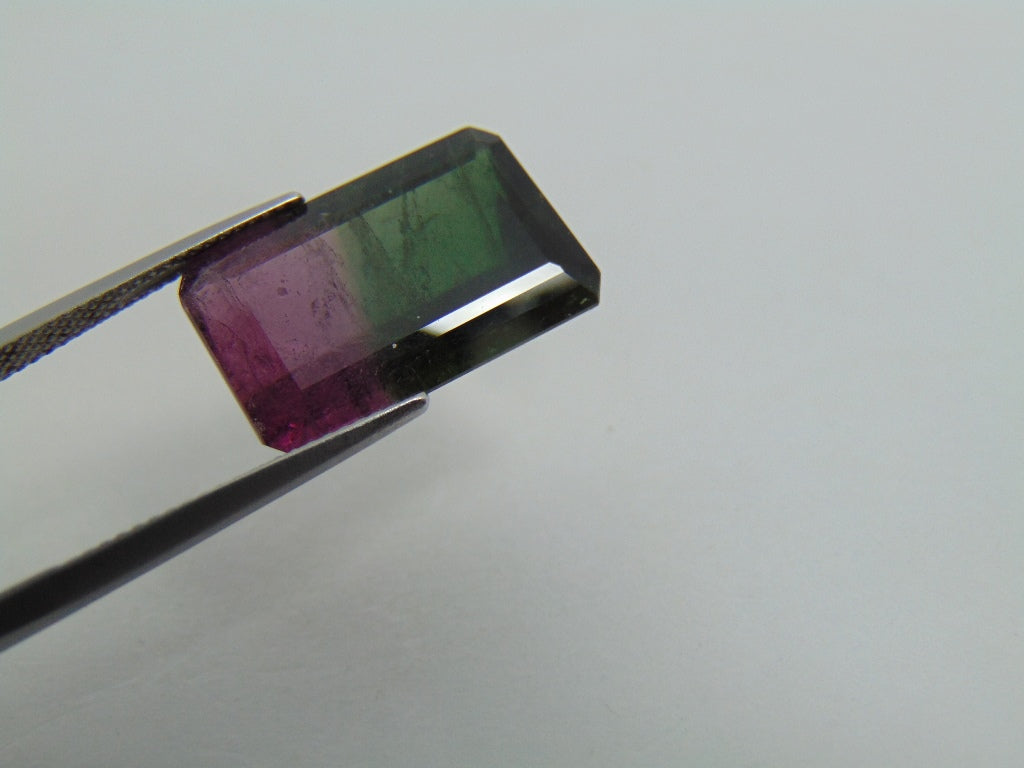 16.70cts Tourmaline (Bicolor)