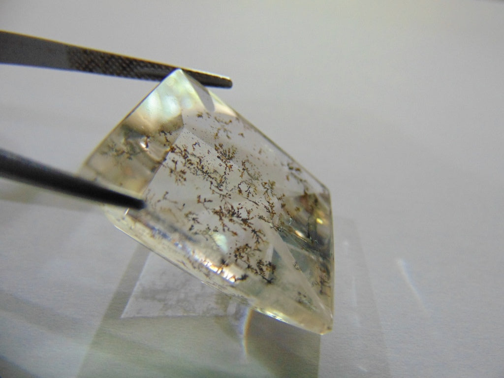 42.70ct Dendrite 24x21mm