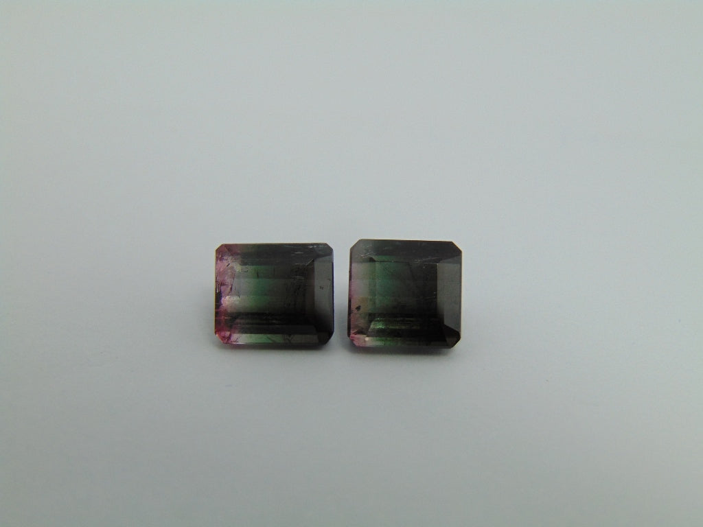 6.30cts Tourmaline (Bicolor)