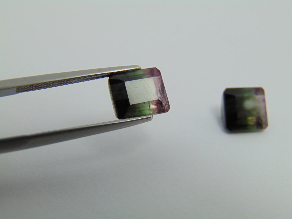 6.30cts Tourmaline (Bicolor)