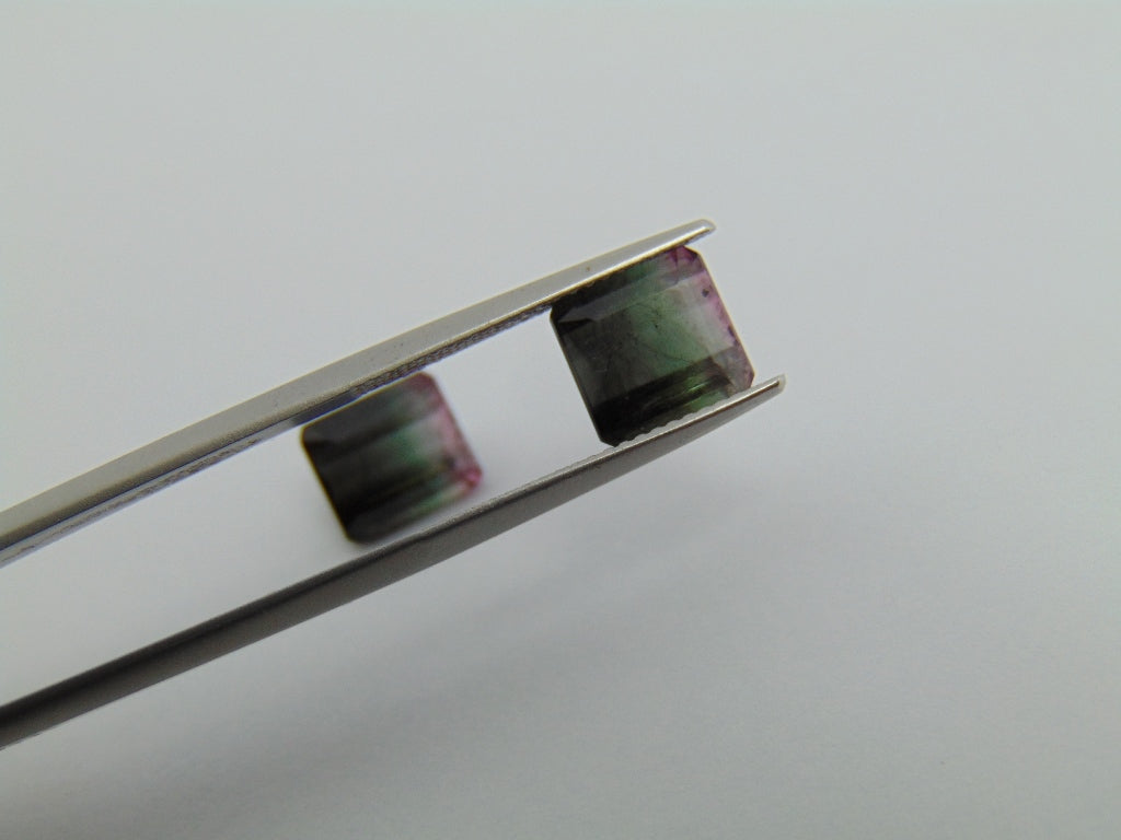 6.30cts Tourmaline (Bicolor)