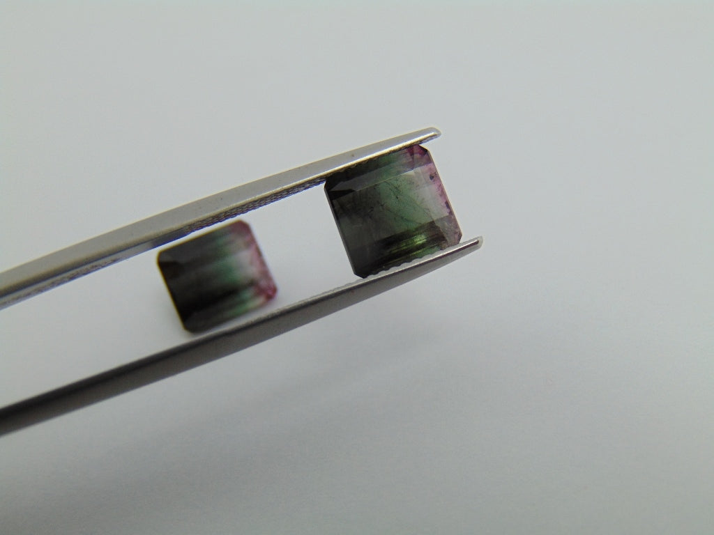 6.30cts Tourmaline (Bicolor)