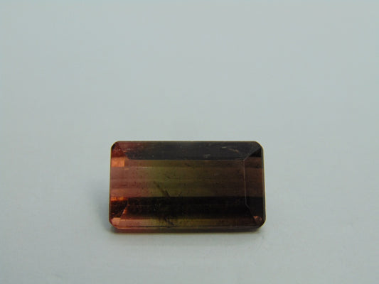 17.15cts Tourmaline (Bicolor)