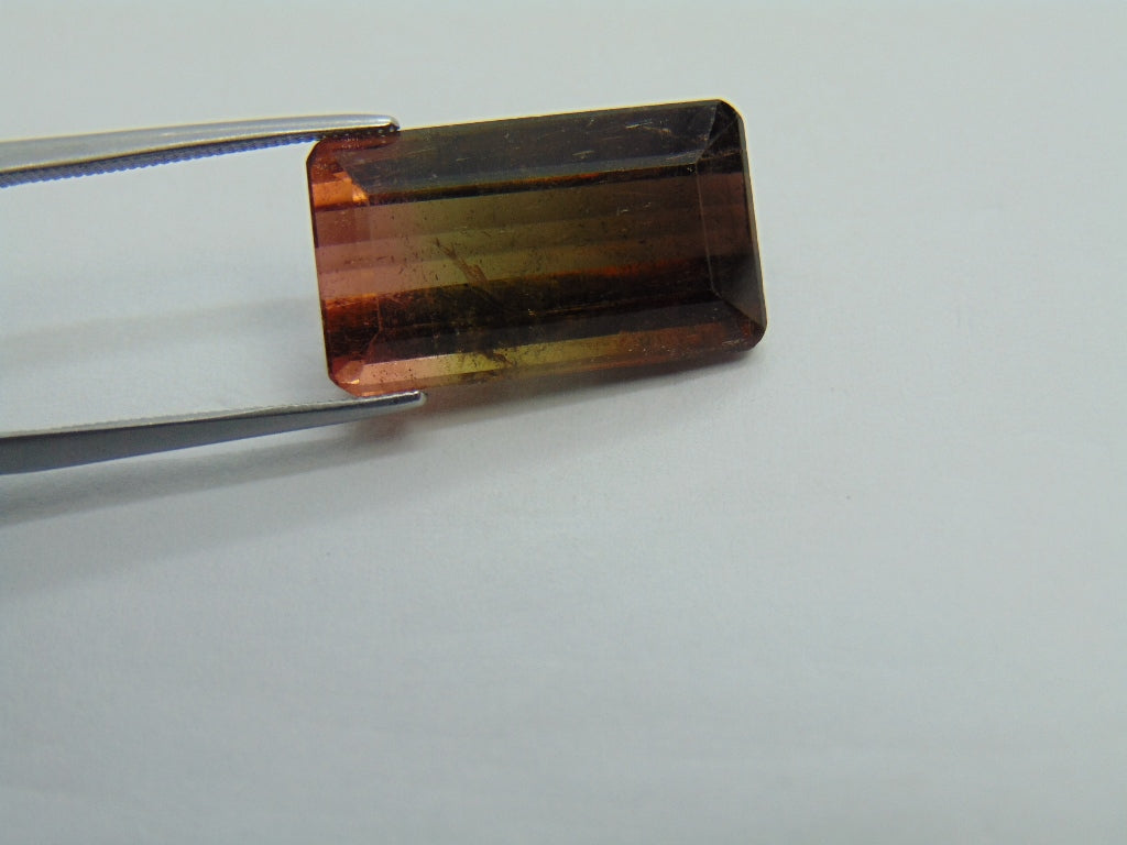 17.15cts Tourmaline (Bicolor)