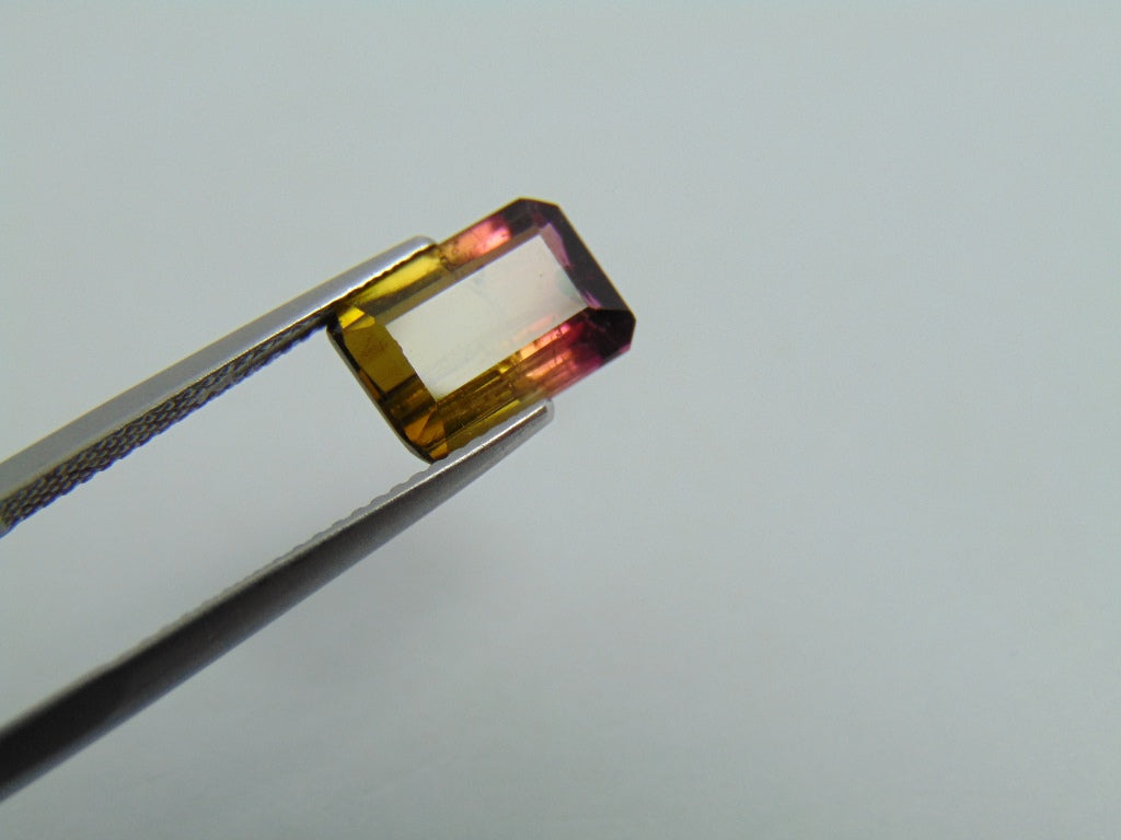 3cts Tourmaline (Bicolor)