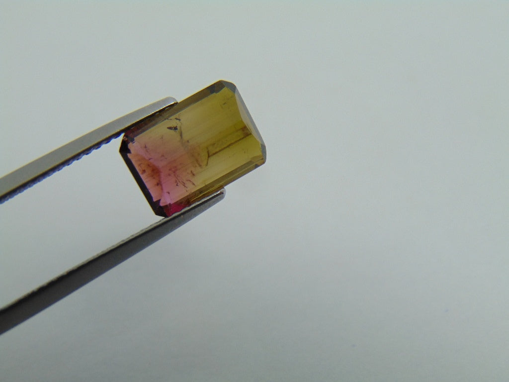 3cts Tourmaline (Bicolor)