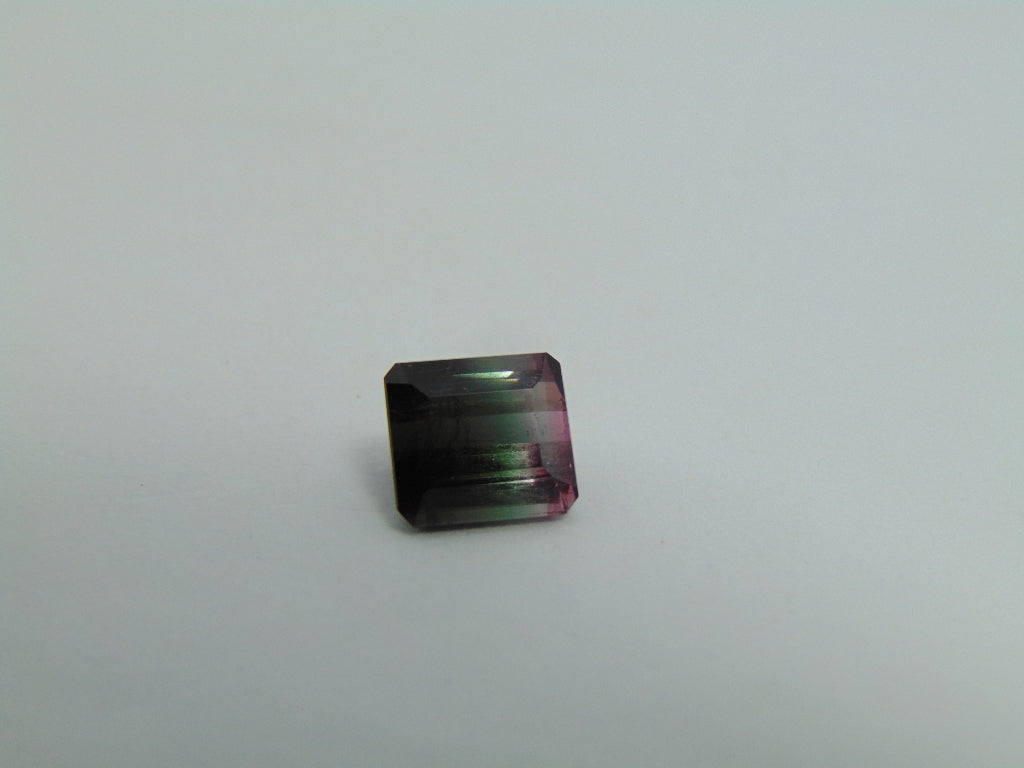 3.50cts Tourmaline (Bicolor)