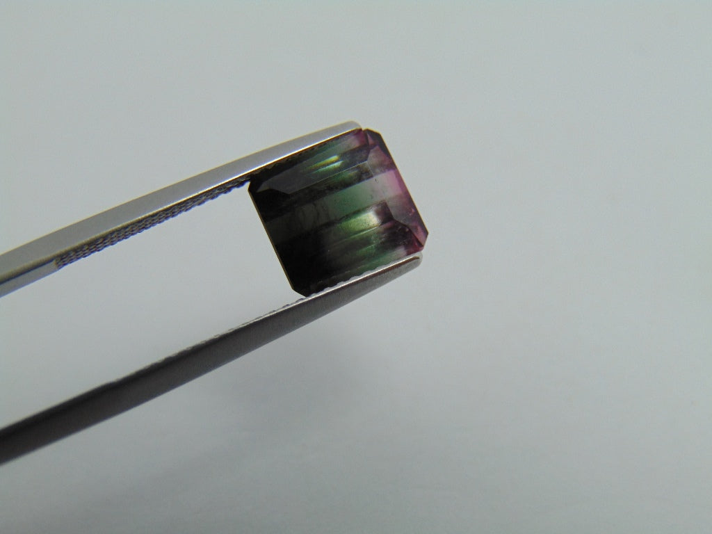 3.50cts Tourmaline (Bicolor)